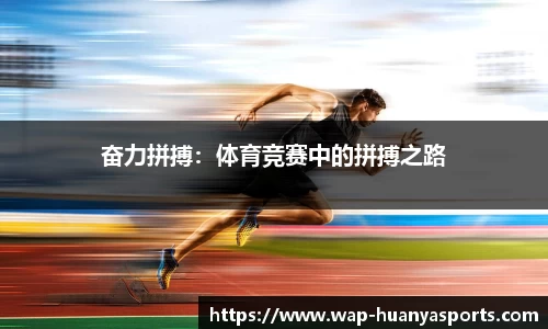 环亚体育APP